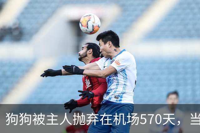 狗狗被主人抛弃在机场570天,当主人回来接它时,看哭了所有人