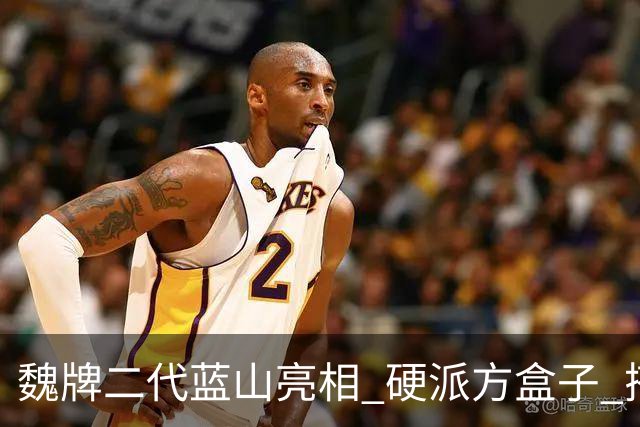 魏牌二代蓝山亮相 硬派方盒子 搭载2.0T插混动力